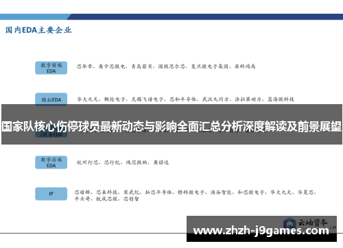 国家队核心伤停球员最新动态与影响全面汇总分析深度解读及前景展望